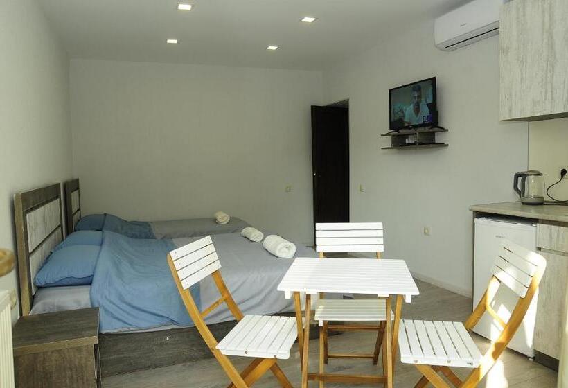 استودیوی استاندارد, Borjomi Apartments Apart