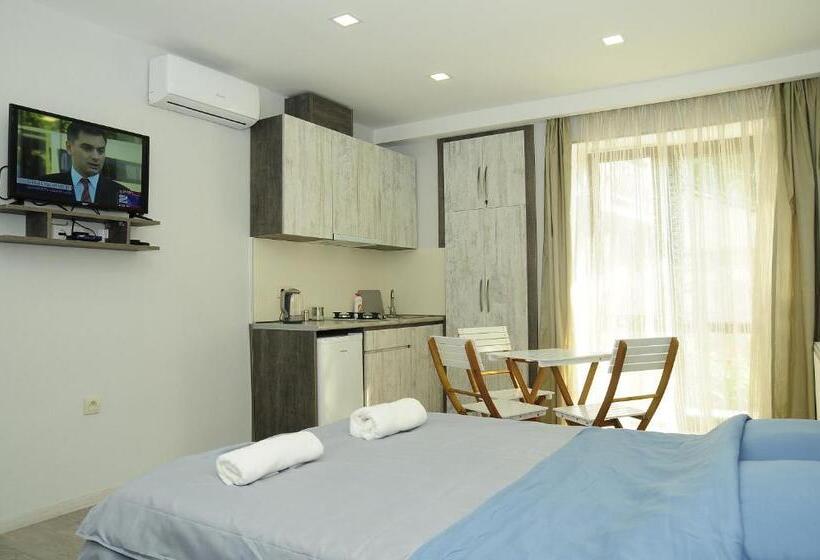 استودیوی استاندارد, Borjomi Apartments Apart