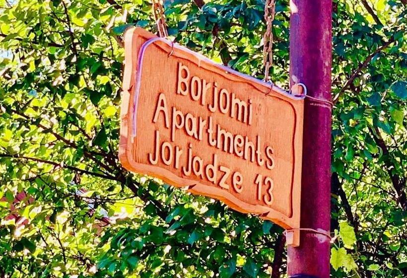 آپارتمان 1 خوابه, Borjomi Apartments Apart