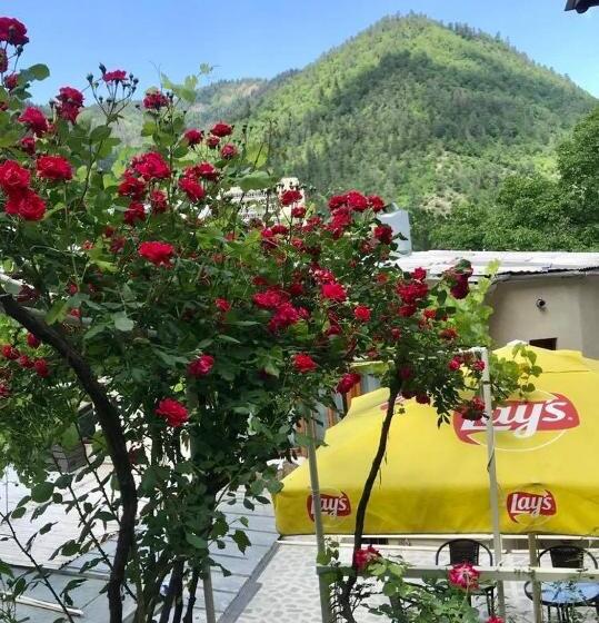 آپارتمان 1 خوابه, Borjomi Apartments Apart