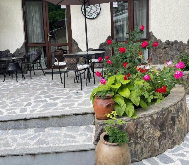 آپارتمان 1 خوابه, Borjomi Apartments Apart