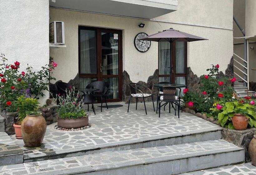 آپارتمان 1 خوابه, Borjomi Apartments Apart