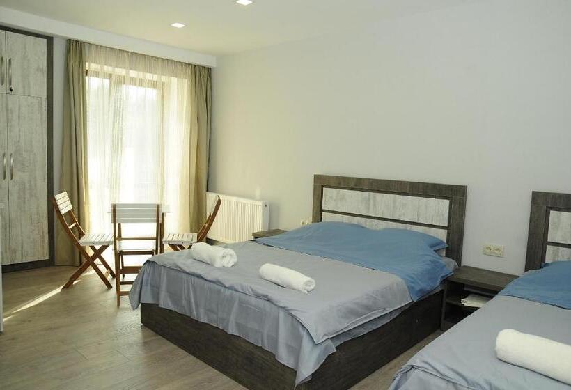 استودیوی استاندارد, Borjomi Apartments Apart