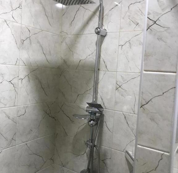 استودیوی استاندارد, Borjomi Apartments Apart