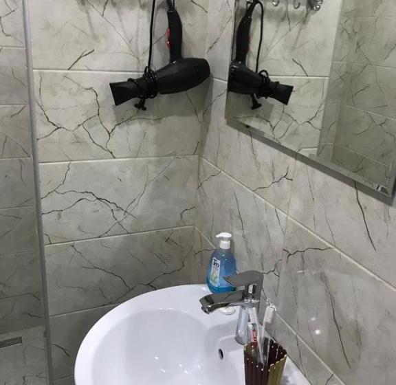 استودیوی استاندارد, Borjomi Apartments Apart