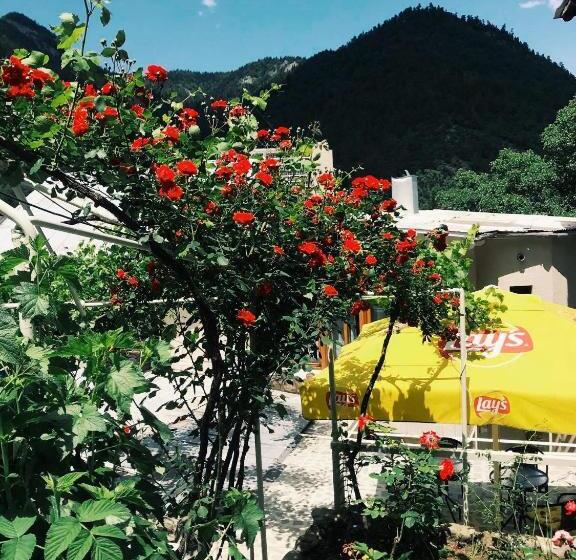 استودیوی استاندارد, Borjomi Apartments Apart