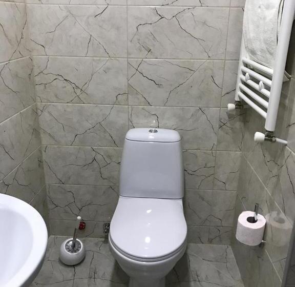 آپارتمان 1 خوابه, Borjomi Apartments Apart