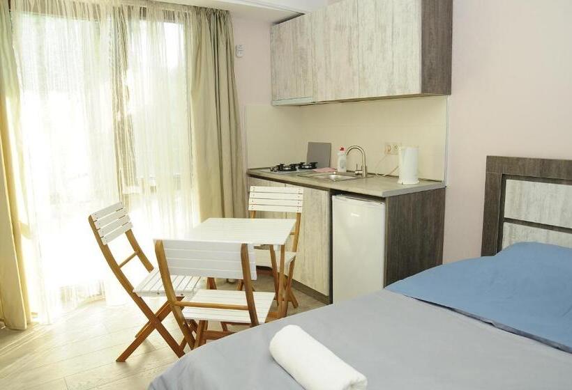 آپارتمان 1 خوابه, Borjomi Apartments Apart