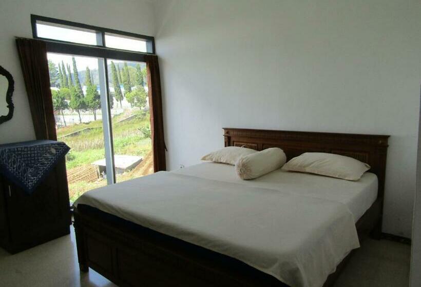 スタンダードルーム, Pantes