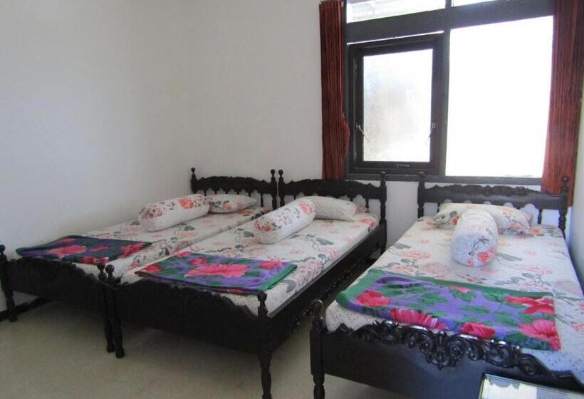 スタンダードトリプルルーム, Pantes