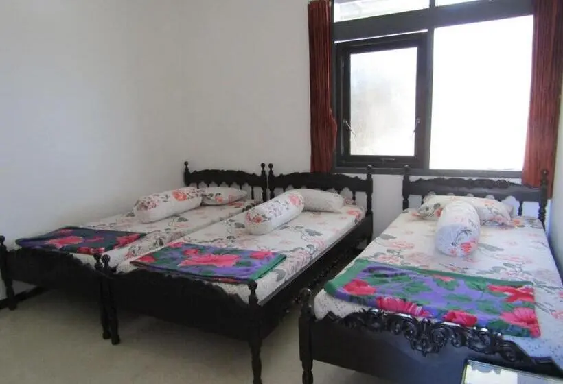 Quarto Triplo Standart, Pantes