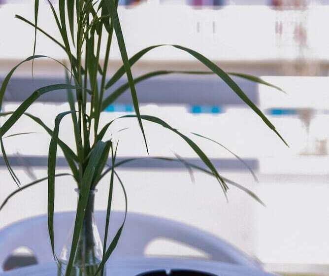 חדר סטנדרט יחיד, Amaryllis