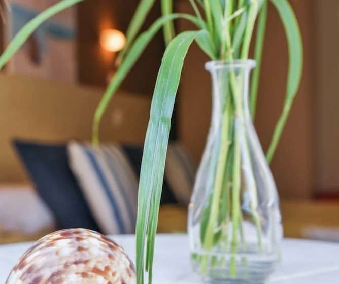 חדר סטנדרט לשלושה, Amaryllis