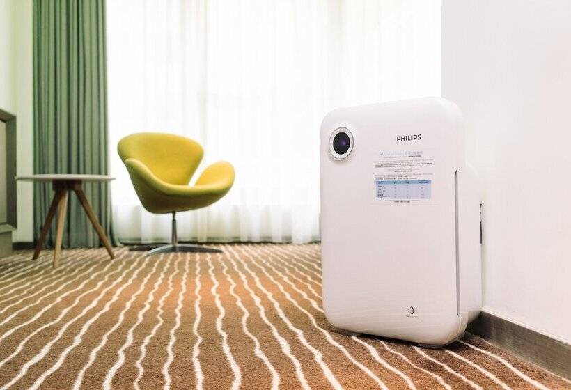 اتاق استاندارد, Butterfly On Wellington, Central