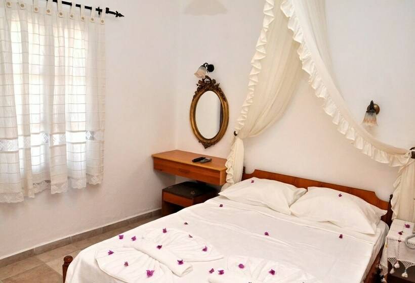 غرفة قياسية فردية, Gloria Tibi Jarra