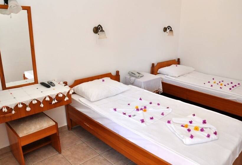 غرفة قياسية فردية, Gloria Tibi Jarra