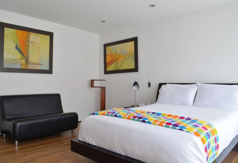 小型套房, Suites Casa 95