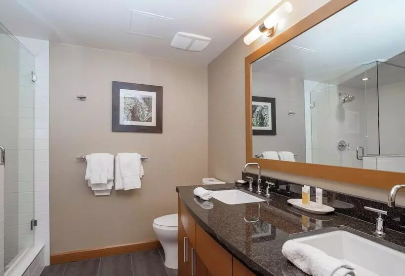سوئیت 2 خوابه, Sutton Place Hotel Revelstoke Mountain Resort