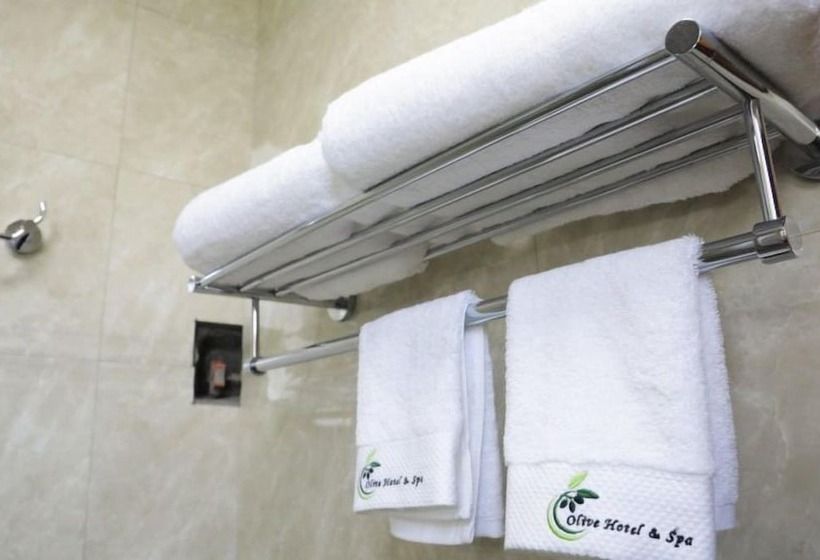 استودیوی استاندارد با تخت دوبل, Olive Hotel & Spa