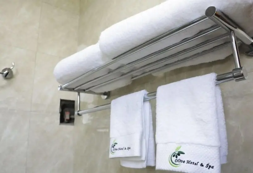 استودیوی استاندارد با تخت دوبل, Olive Hotel & Spa