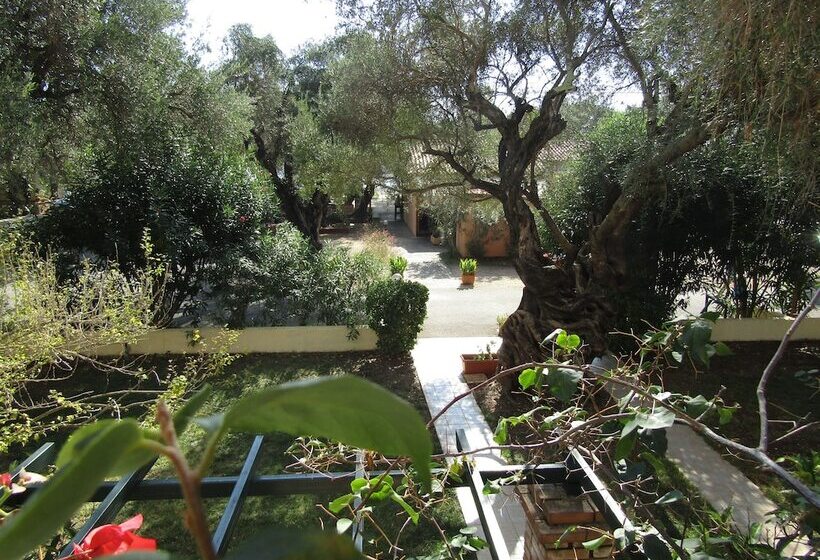 شقة غرفتين, Barbati Beach Apartments