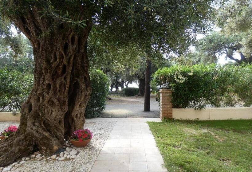 إستوديو قياسى, Barbati Beach Apartments