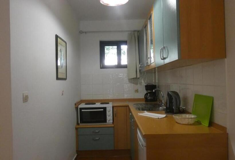 إستوديو قياسى, Barbati Beach Apartments