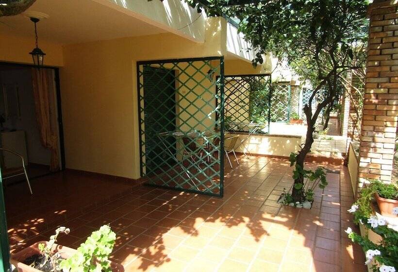 إستوديو قياسى, Barbati Beach Apartments