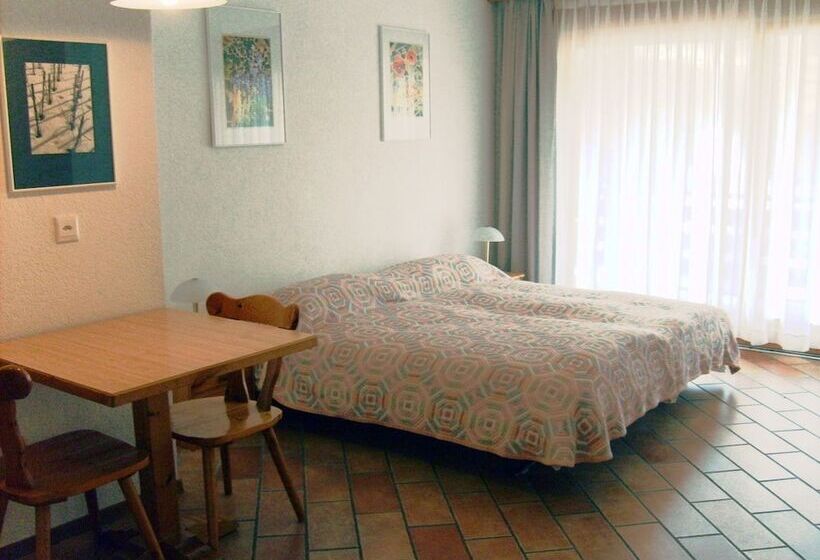 エコノミーワンルーム, Castel Club Leysin Parc Resort