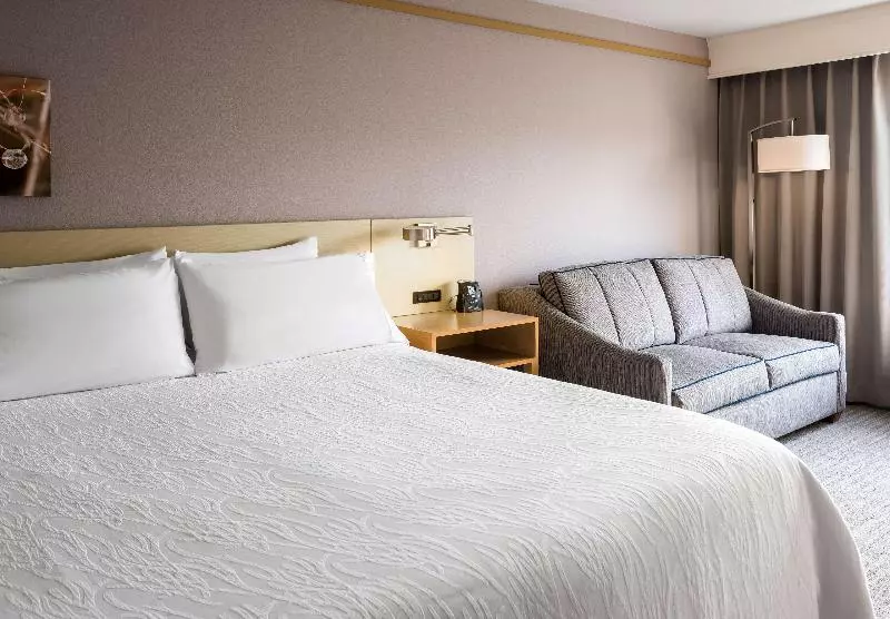 キングサイズベッドのスタンダードルーム, Hilton Garden Inn Irvine East/lake Forest