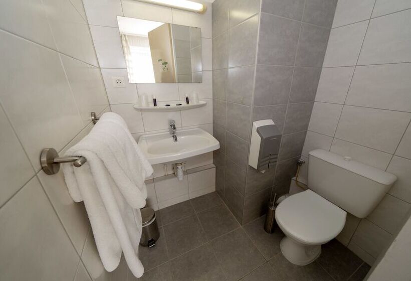 Номер Стандарт Индивидуальный, Majestic Alsace  Strasbourg Nord