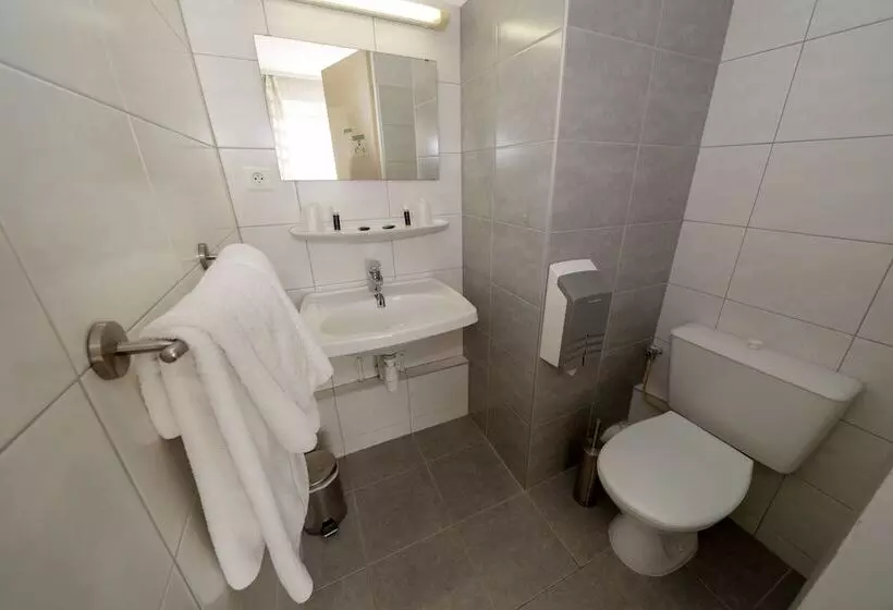 Standard Yhden Hengen Huone, Majestic Alsace Strasbourg Nord