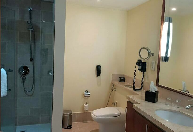 آپارتمان 1 خوابه با چشم‌انداز, Ramada By Wyndham Downtown Dubai