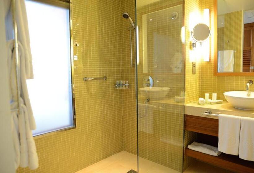 Classic Room with Views, Yas Island Rotana Abu Dhabi