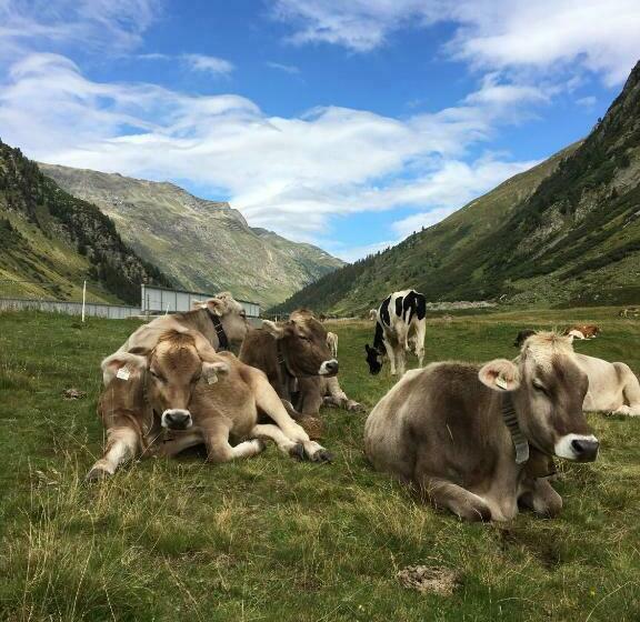 غرفة قياسية مزوَّدة بشُرفة, Alpenhotel Weiherbach Berchtesgaden Hallenbad Und Sauna