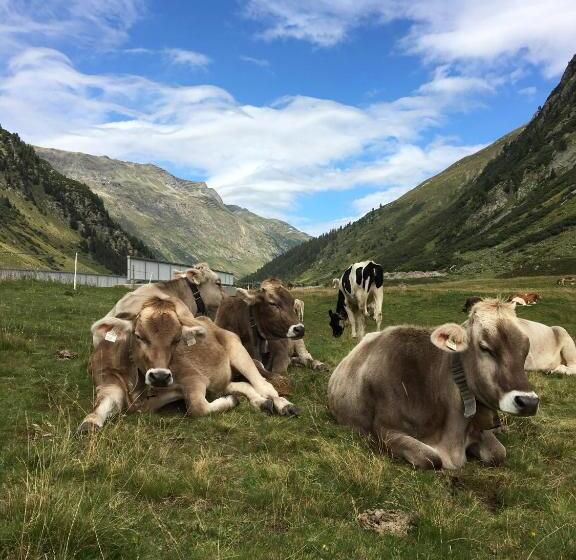غرفة كومفورت, Alpenhotel Weiherbach Berchtesgaden Hallenbad Und Sauna
