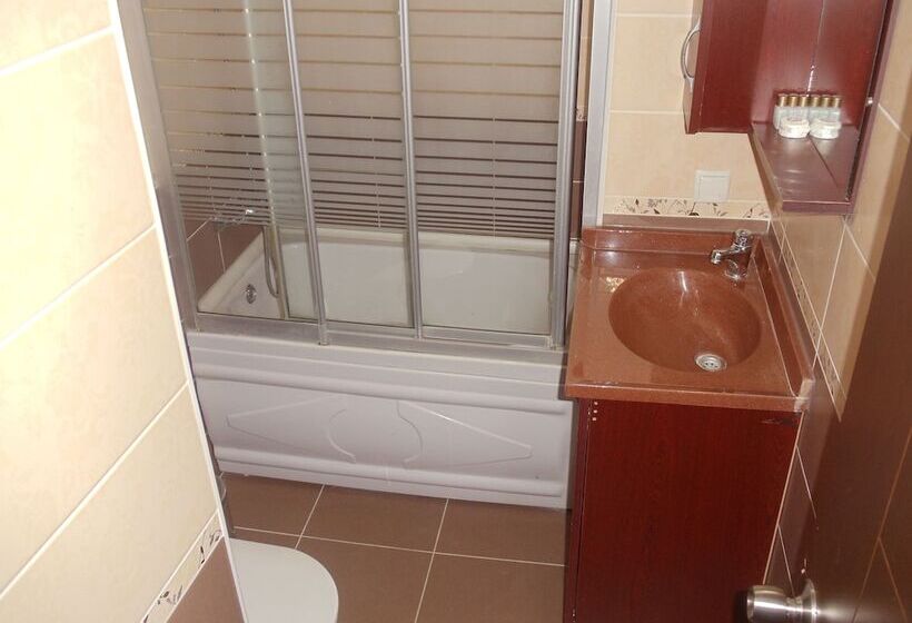 Standart Tek Kişilik Oda, Ares