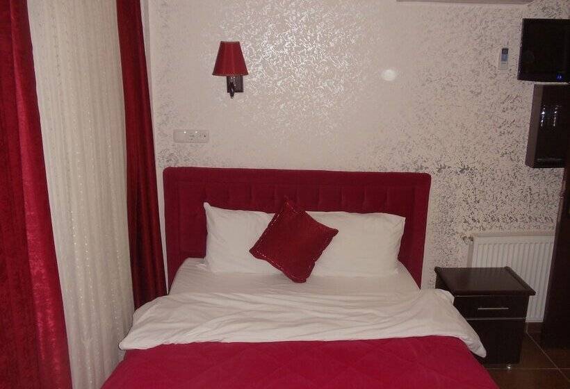 Standart Tek Kişilik Oda, Ares