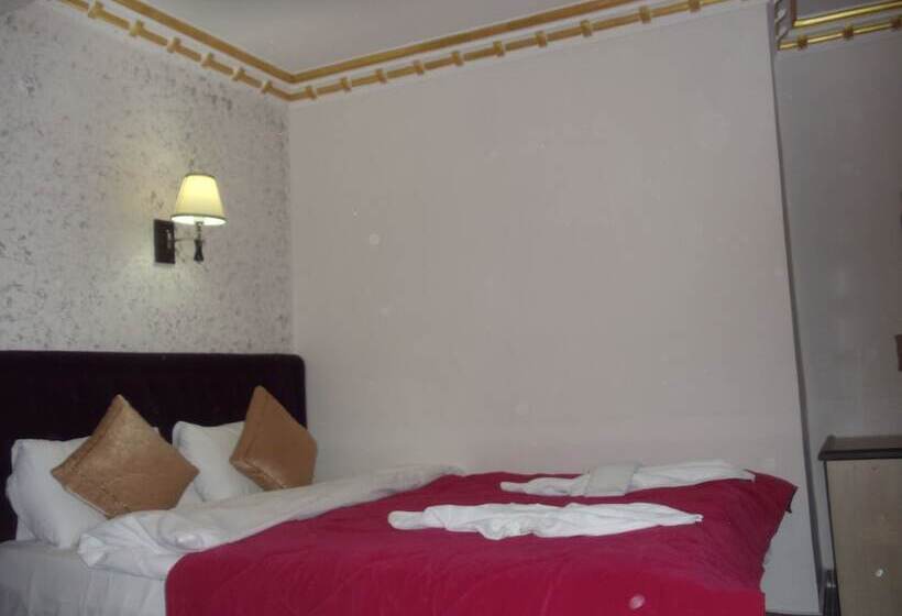 Standart Tek Kişilik Oda, Ares