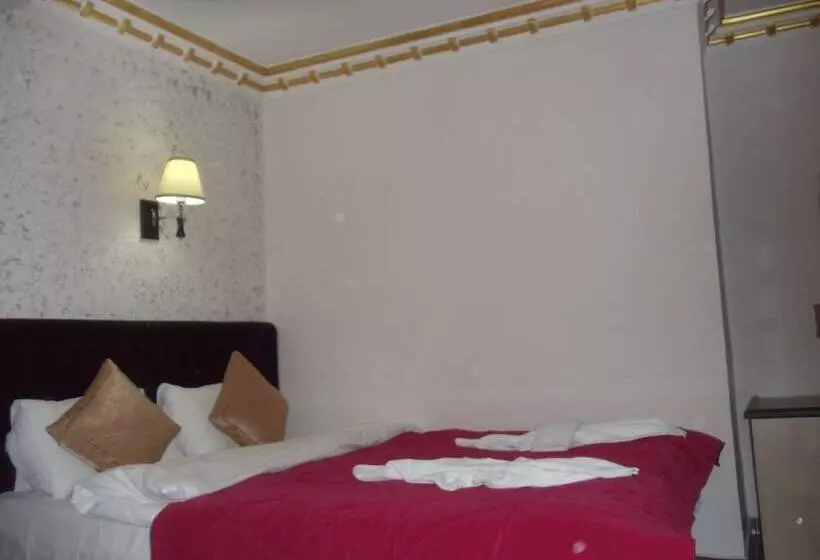 اتاق استاندارد یک نفره, Ares