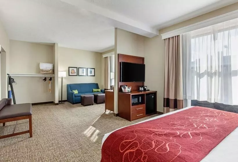 身障者適用スイートルーム, Comfort Suites