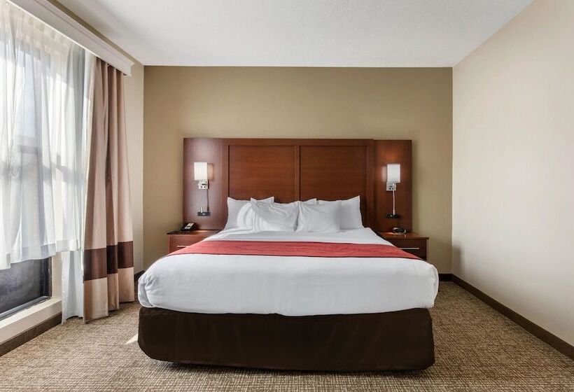 سوئیت برای معلولان, Comfort Suites