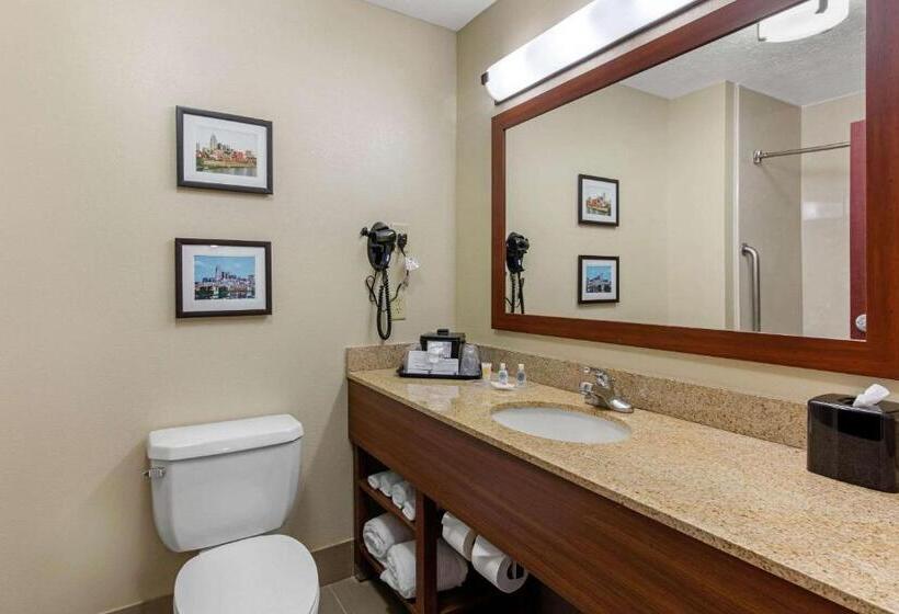 Suite King Size Bed, Comfort Suites