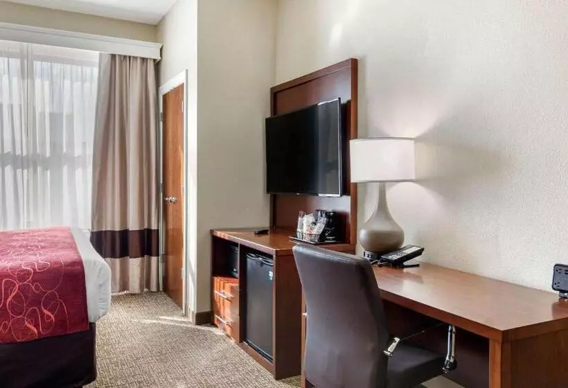 キングサイズベッドのスイートルーム, Comfort Suites