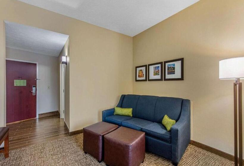سوئیت با تخت بزرگ, Comfort Suites