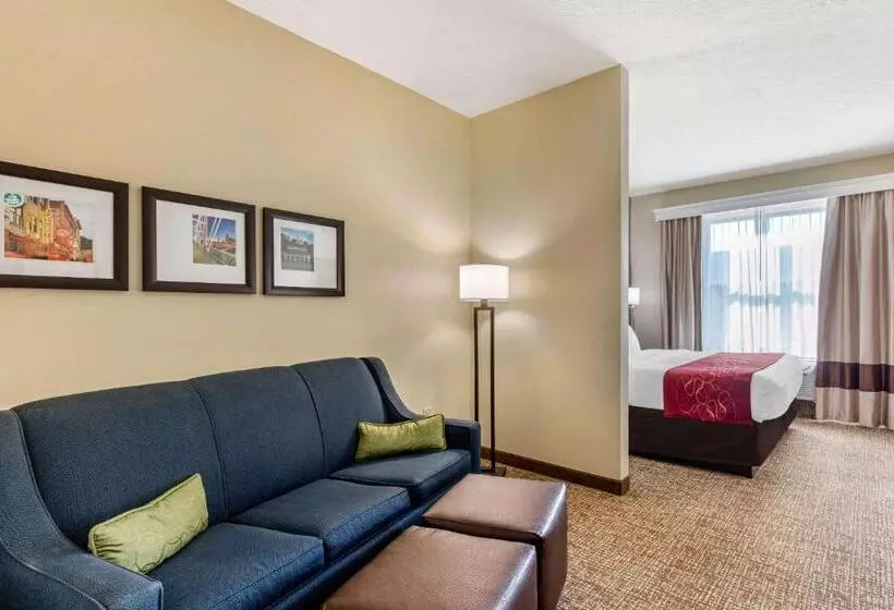 キングサイズベッドのスイートルーム, Comfort Suites