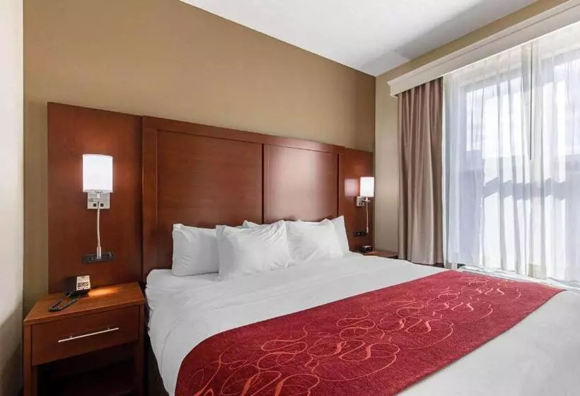 キングサイズベッドのスイートルーム, Comfort Suites