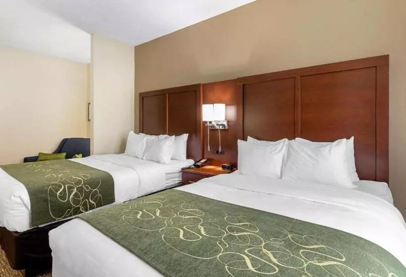 スタンダードルーム, Comfort Suites
