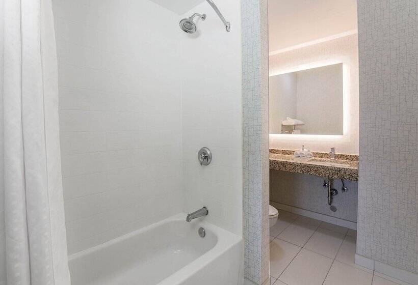 Suite, Holiday Inn Express Hotel & Suites Fort Worth Downtown, An Ihg