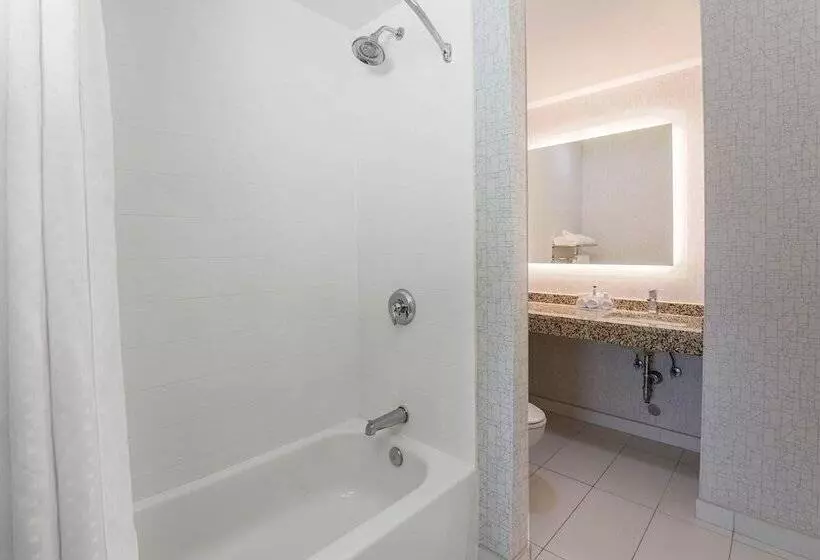 سوییت, Holiday Inn Express Hotel & Suites Fort Worth Downtown, An Ihg